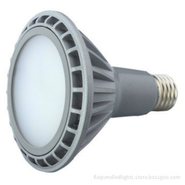 High Power Cool White 680lm 11w Outdoor Halogen Led Spot Lamps Par30 Bulbs
